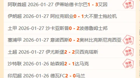 热刺英超11轮以2-0战胜埃弗顿，凯恩达成400场里程碑助球队夺冠